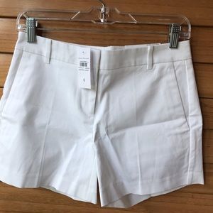 The City Short BRAND NEW Ann Taylor